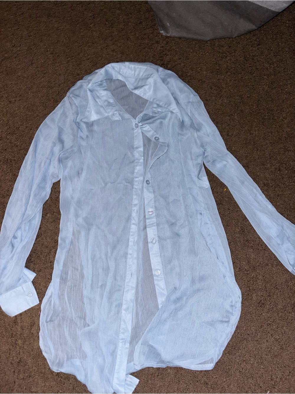 Amazon Light Blue Sheer Button-Down Shirt